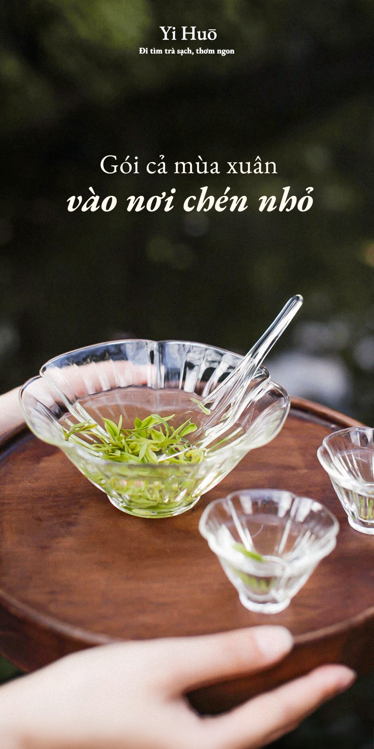 GÓI CẢ MÙA XUÂN VÀO NƠI CHÉN NHỎ