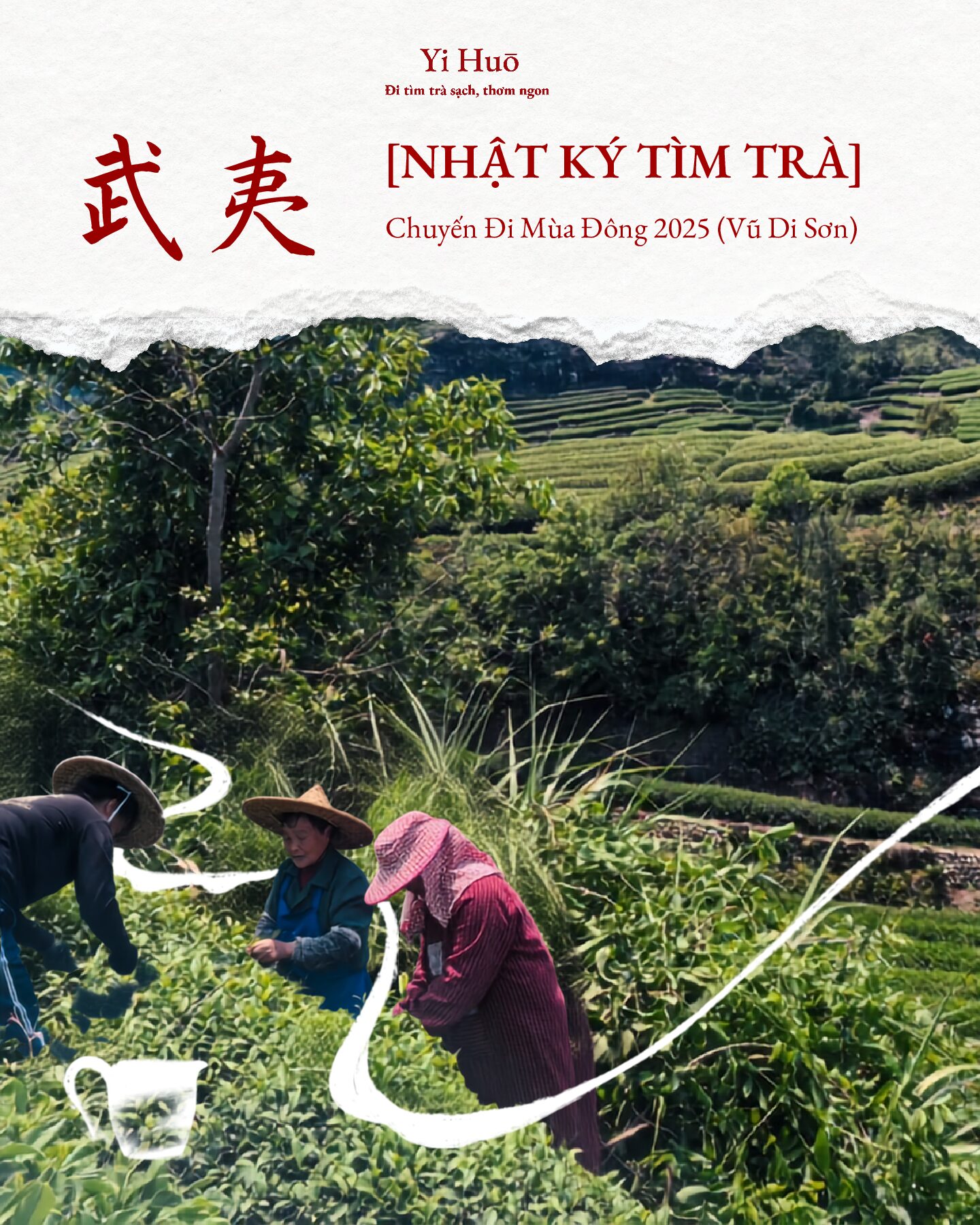 NHẬT KÝ TÌM TRÀ – VŨ DI SƠN 2025 (PHẦN 2)