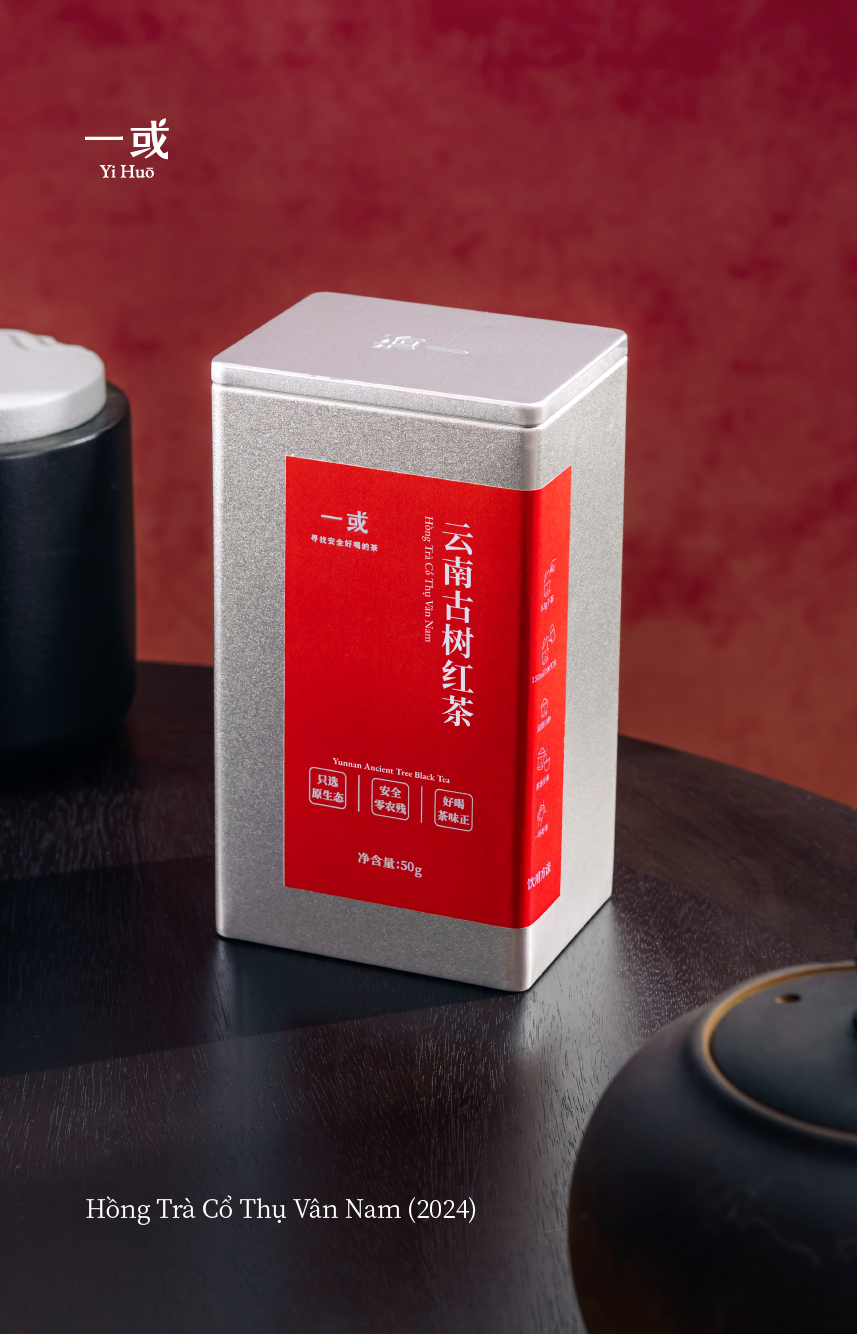 Hồng Trà Cổ Thụ Vân Nam 2024 - 50g